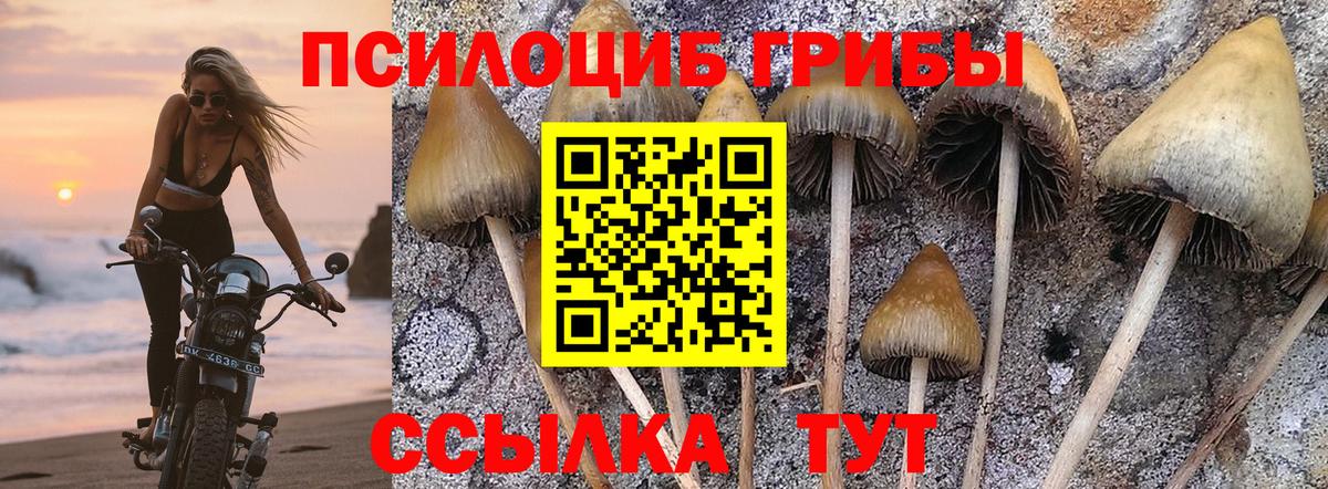 Галлюциногенные грибы Magic Shrooms Кимовск